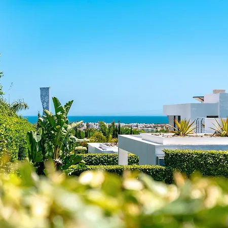 Dominica 8 * Естепона