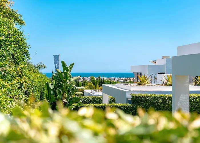 Dominica 8 * Estepona